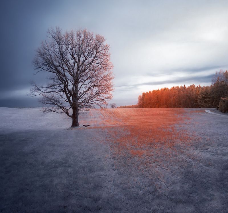 Помнит лавочка летнюю листву фото превью