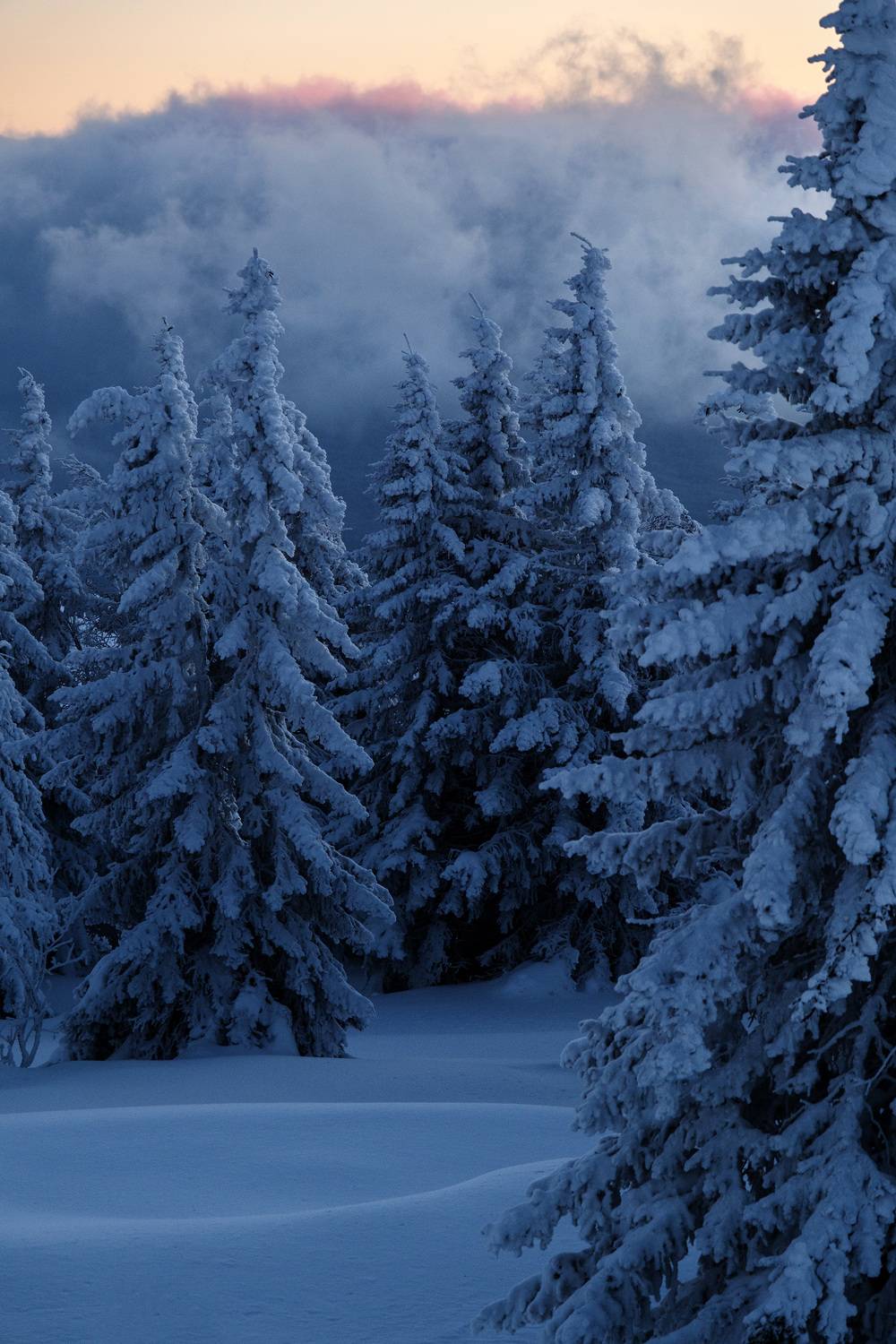 , Бодрягин Виталий