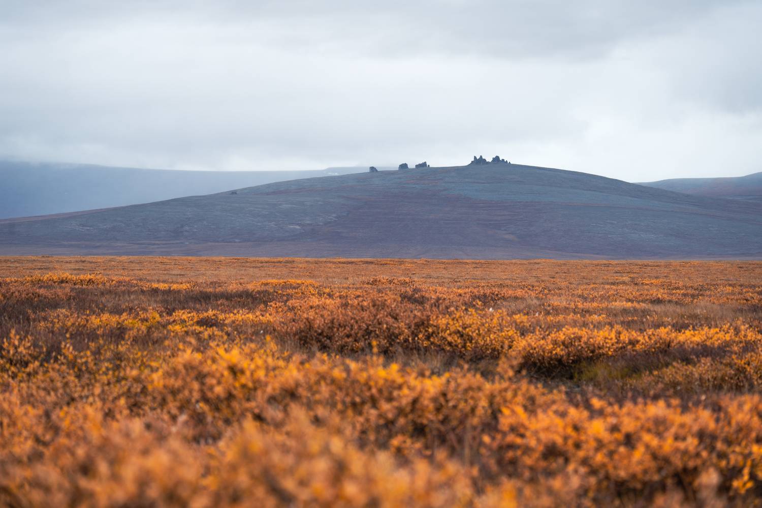 Чукотка, Андрей Гусаров