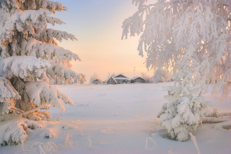Морозно-розовое утро в селе Сырьяны фото превью