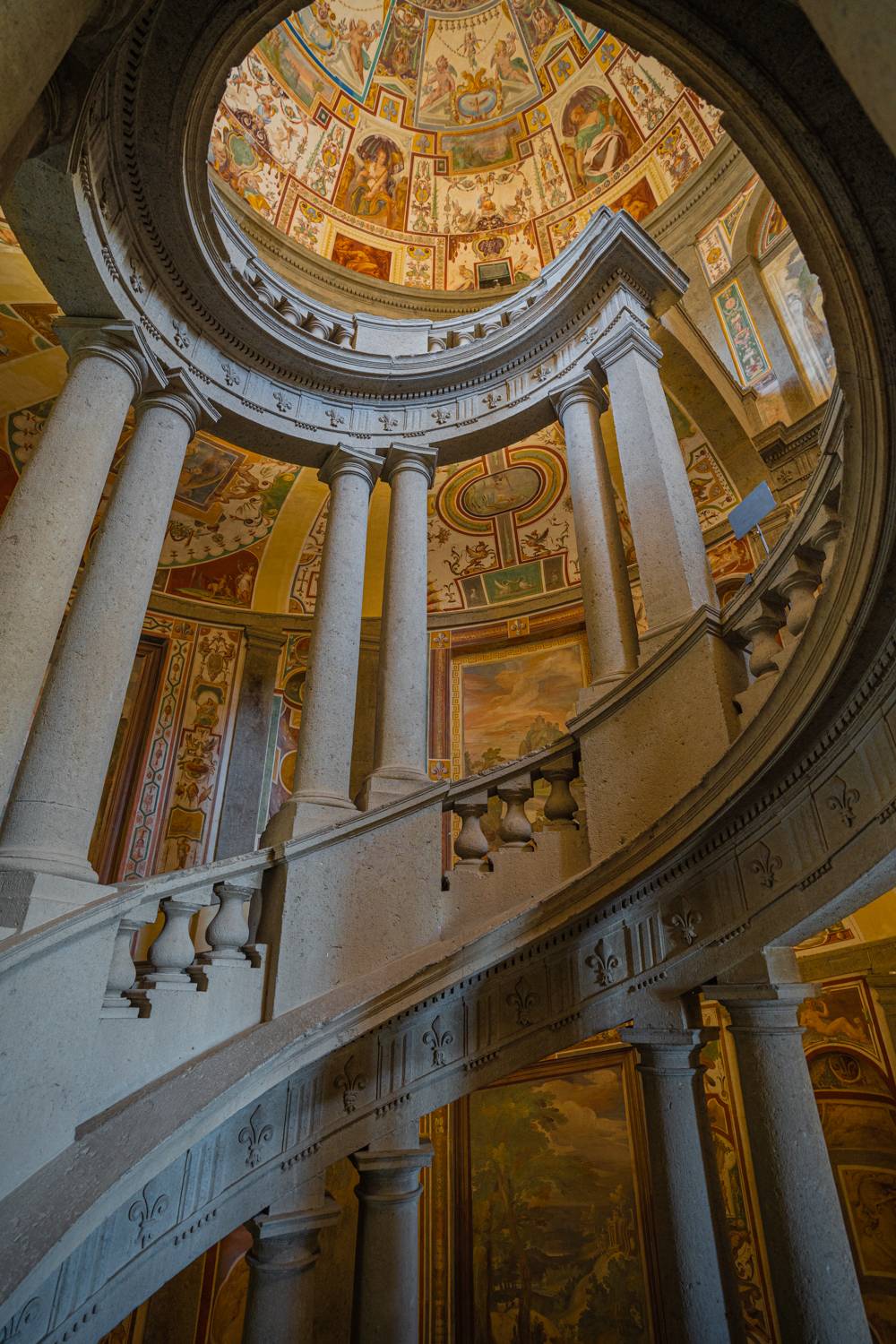 , Максимова Дария