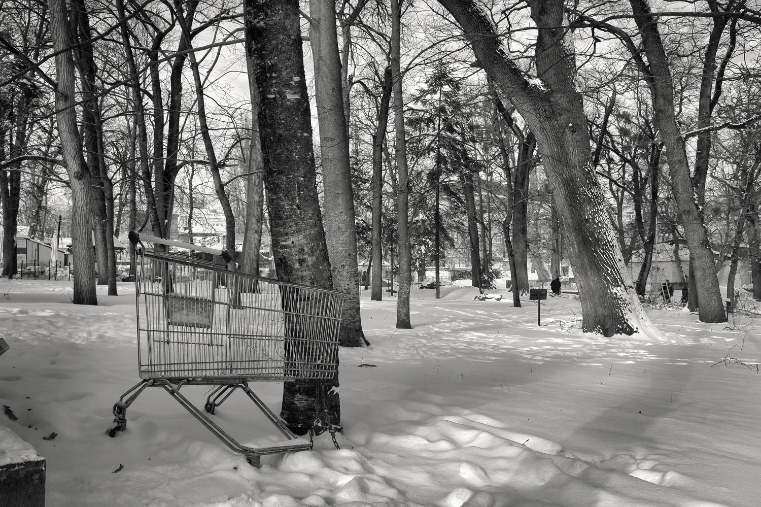 корзина, пустота, покупки, Зорин Миша