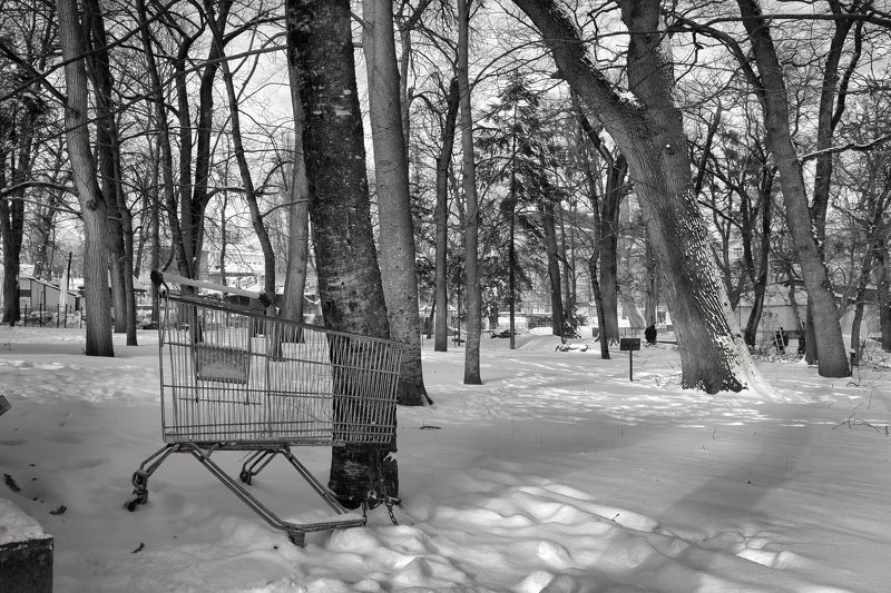 корзина, пустота, покупки Покупать больше нечего фото превью