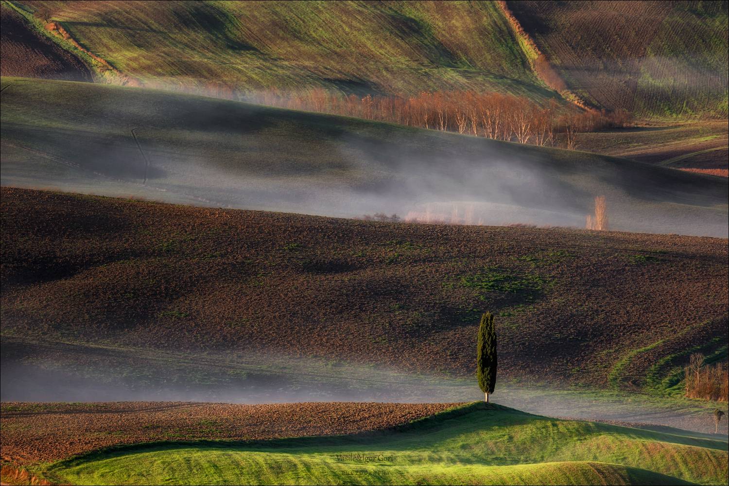 italy,san quirico d\'orcia,italia,италия,тоскана,pienza,кипарис,toscana,осень,tuscany,cipressi,belvedere,пьенца,тени,, Гори Василий