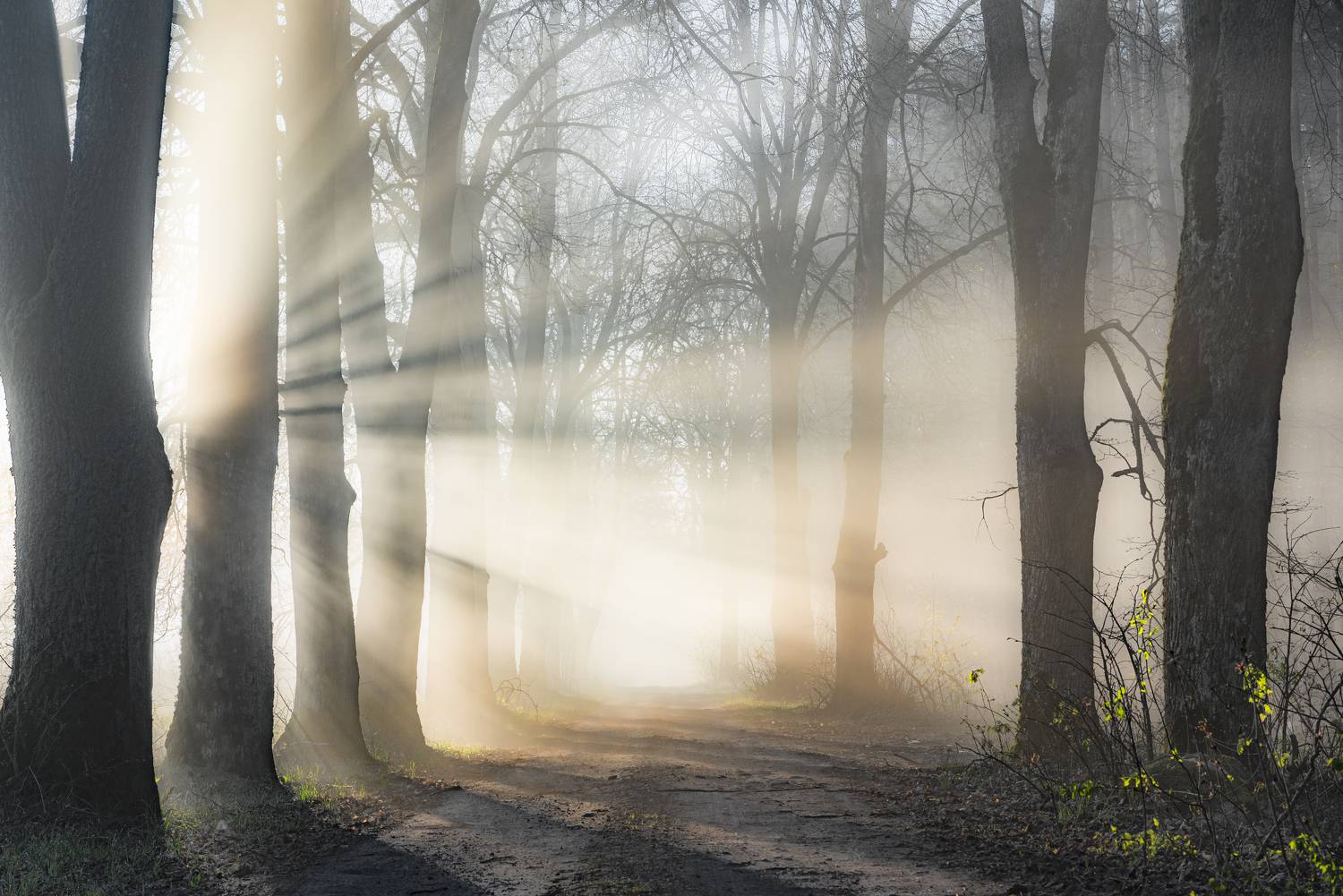 , Руслан Авдевич