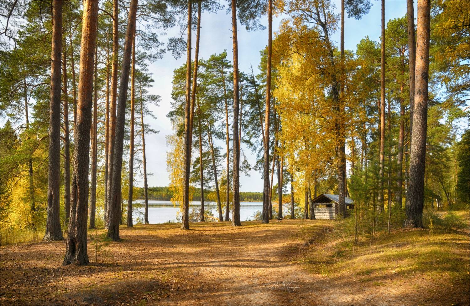 лес озеро домик, Вера Петри