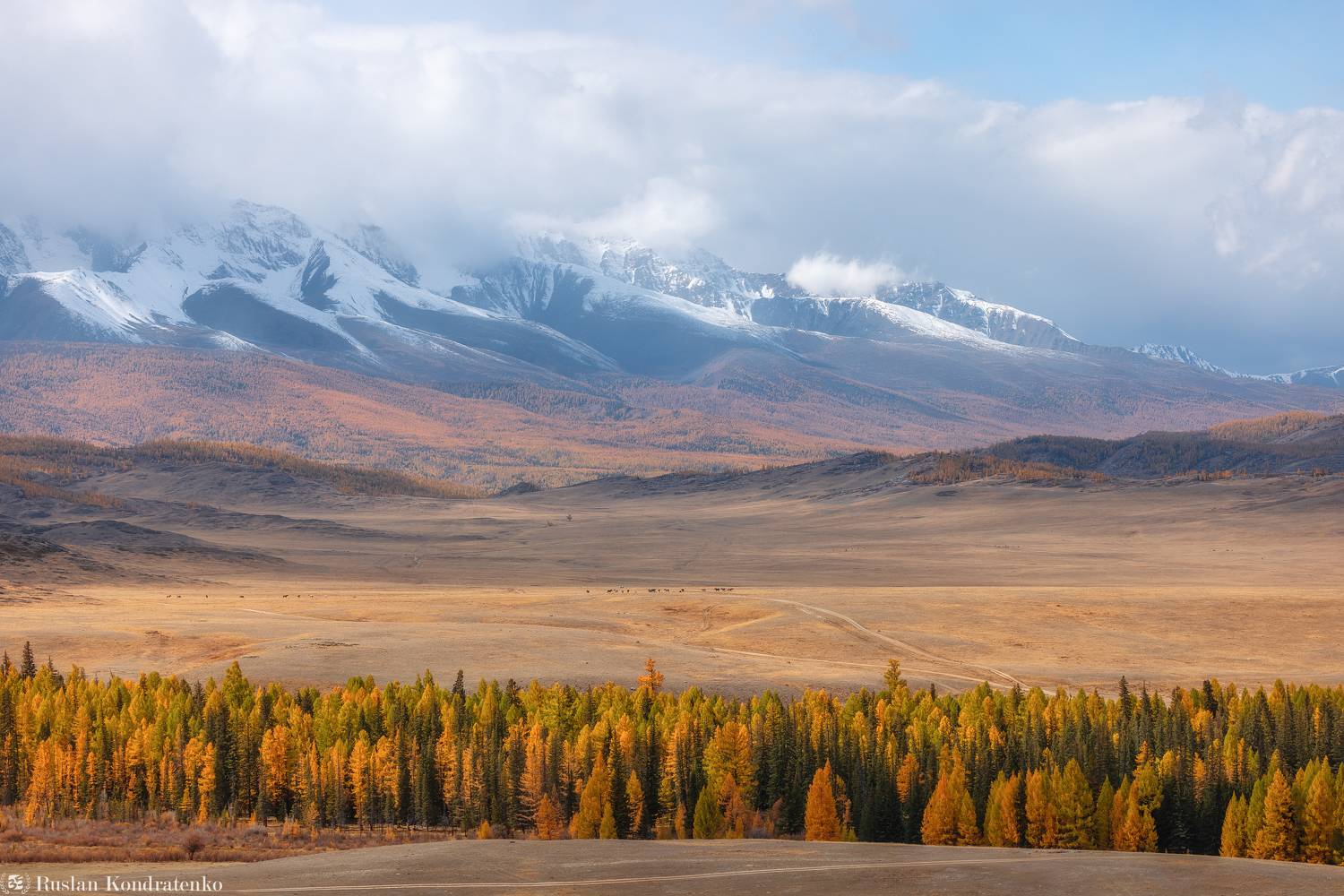 алтай, осень, горный алтай, степь, Кондратенко Руслан