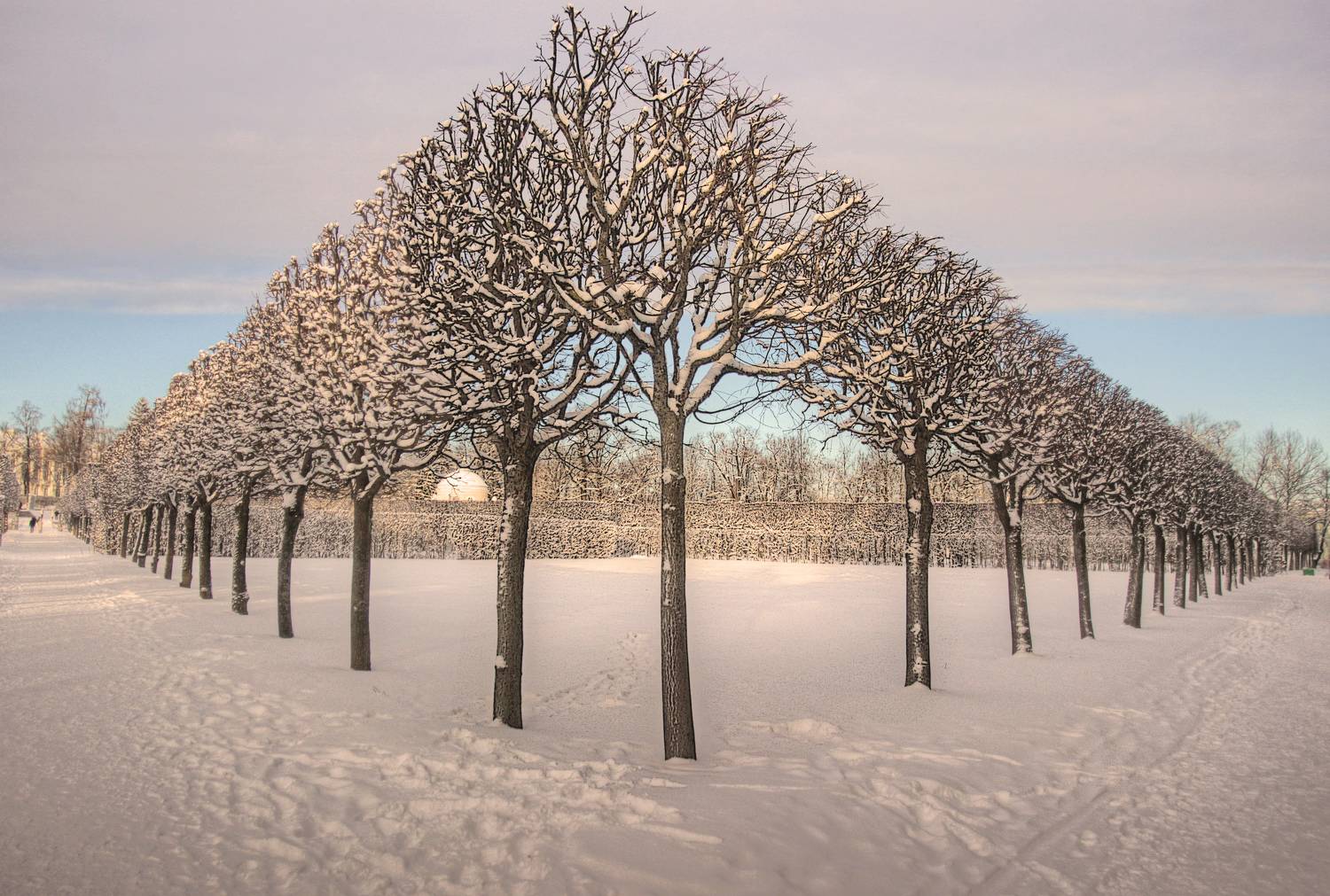 , Сергей Григорьев