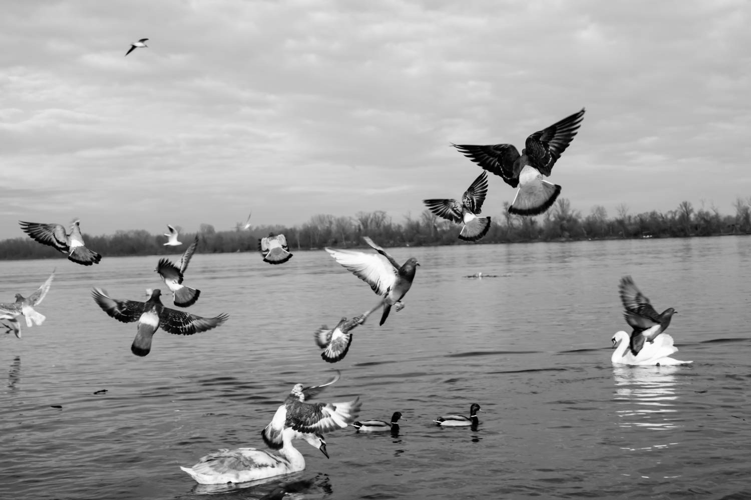 , Шилов Александр