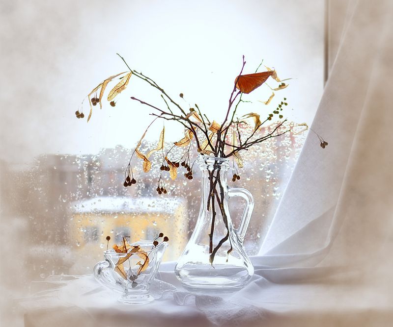 натюрморт,композиция,свет,букет,шиповник *** фото превью