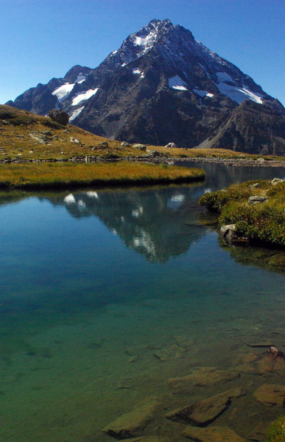 , Андрей Любимов