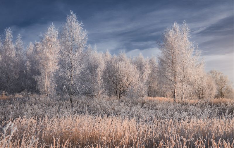 На опушке. фото превью