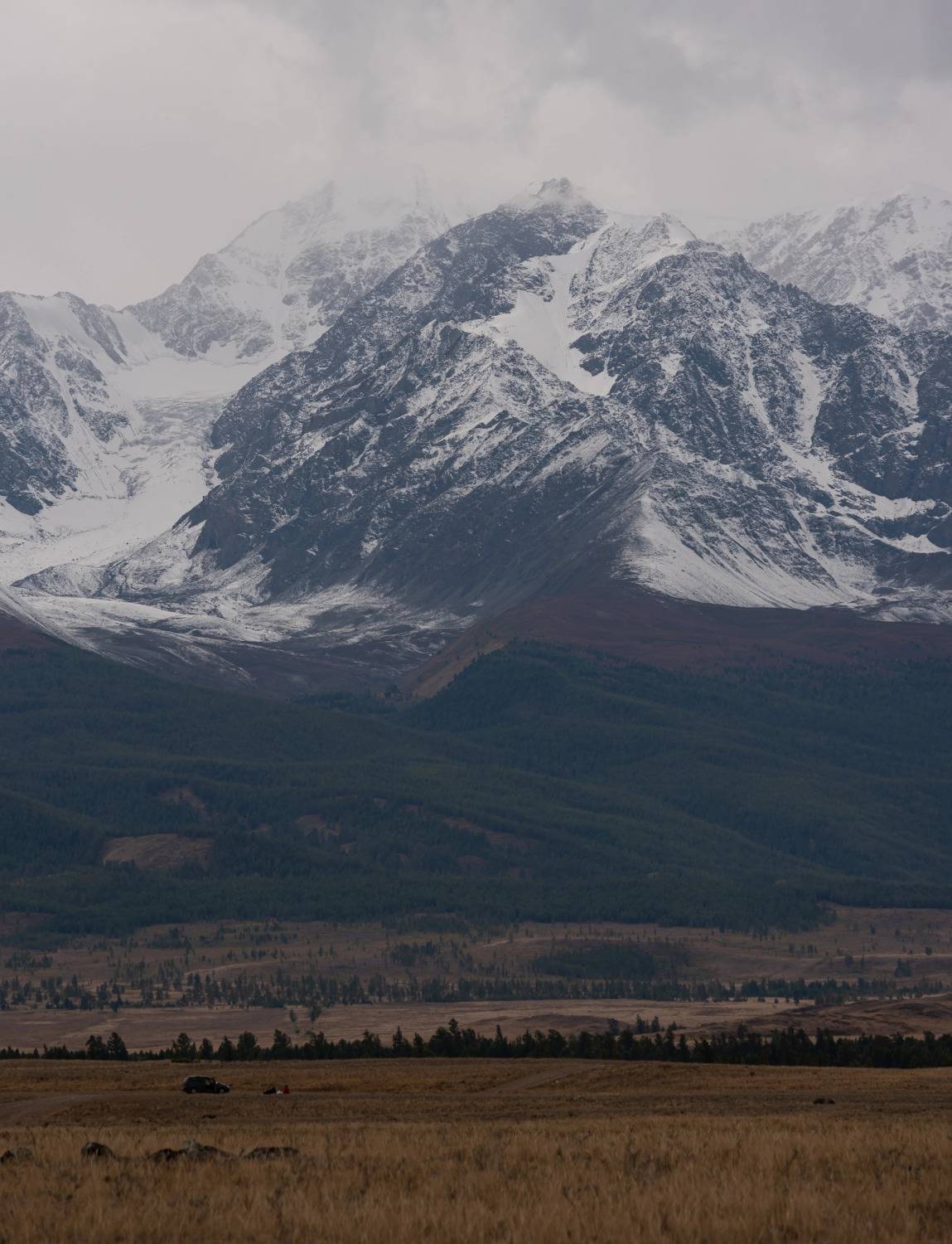 , Ватрушкин Максим