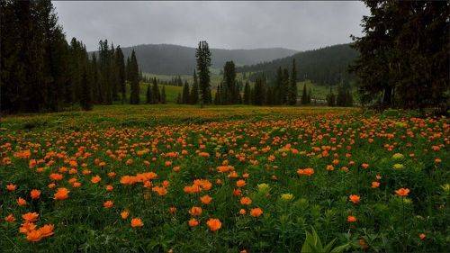 За бортом - минус 26 градусов ... ,хочется лета!!!