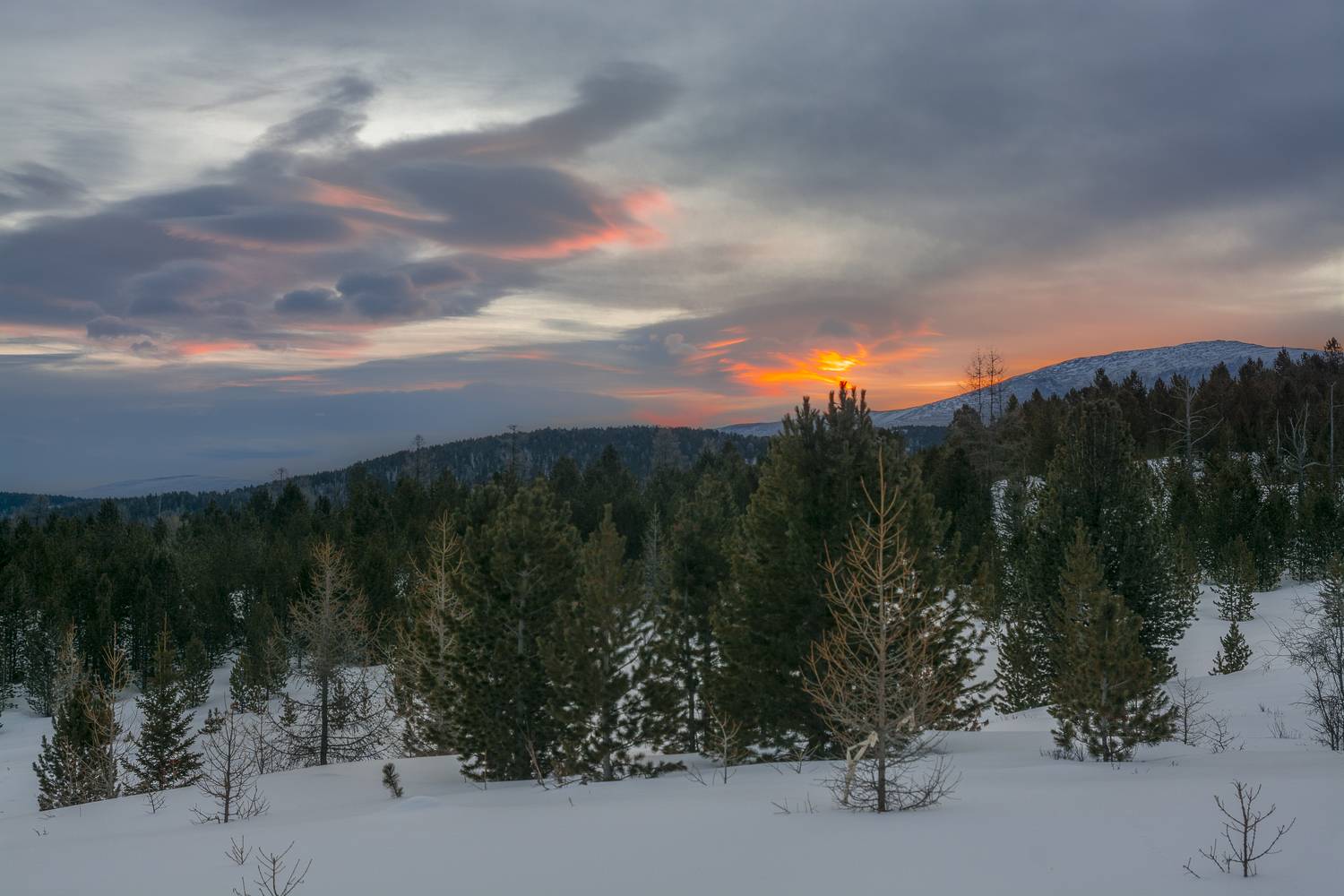 россия, горный алтай, перевал, зима, утро, утро на перевале, рассвет, миг рассвета, Поляков Андрей