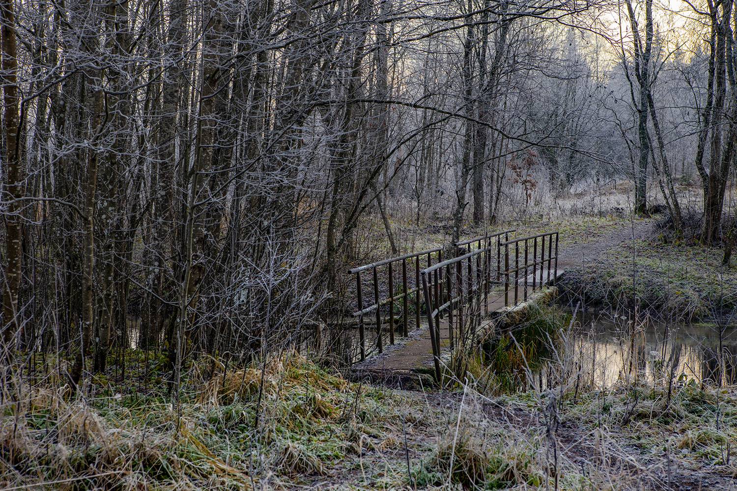 ,  александр михайлов