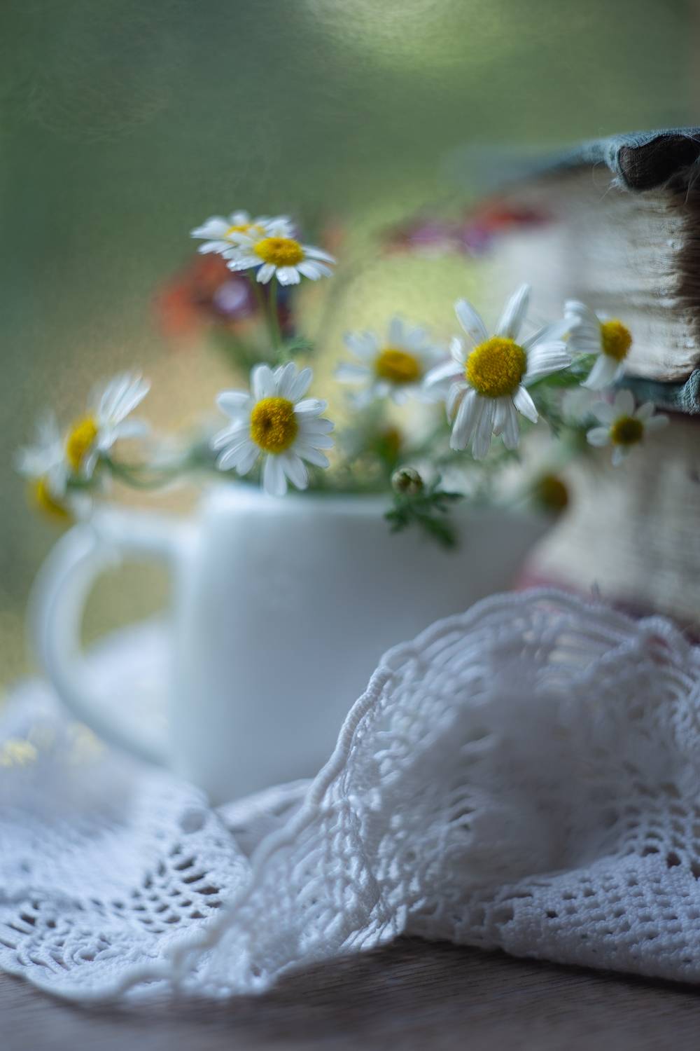 ромашки, мануальная оптика, гелиос 44,книга, ирина горюкина ,беларусь, ИРИНА ГОРЮКИНА