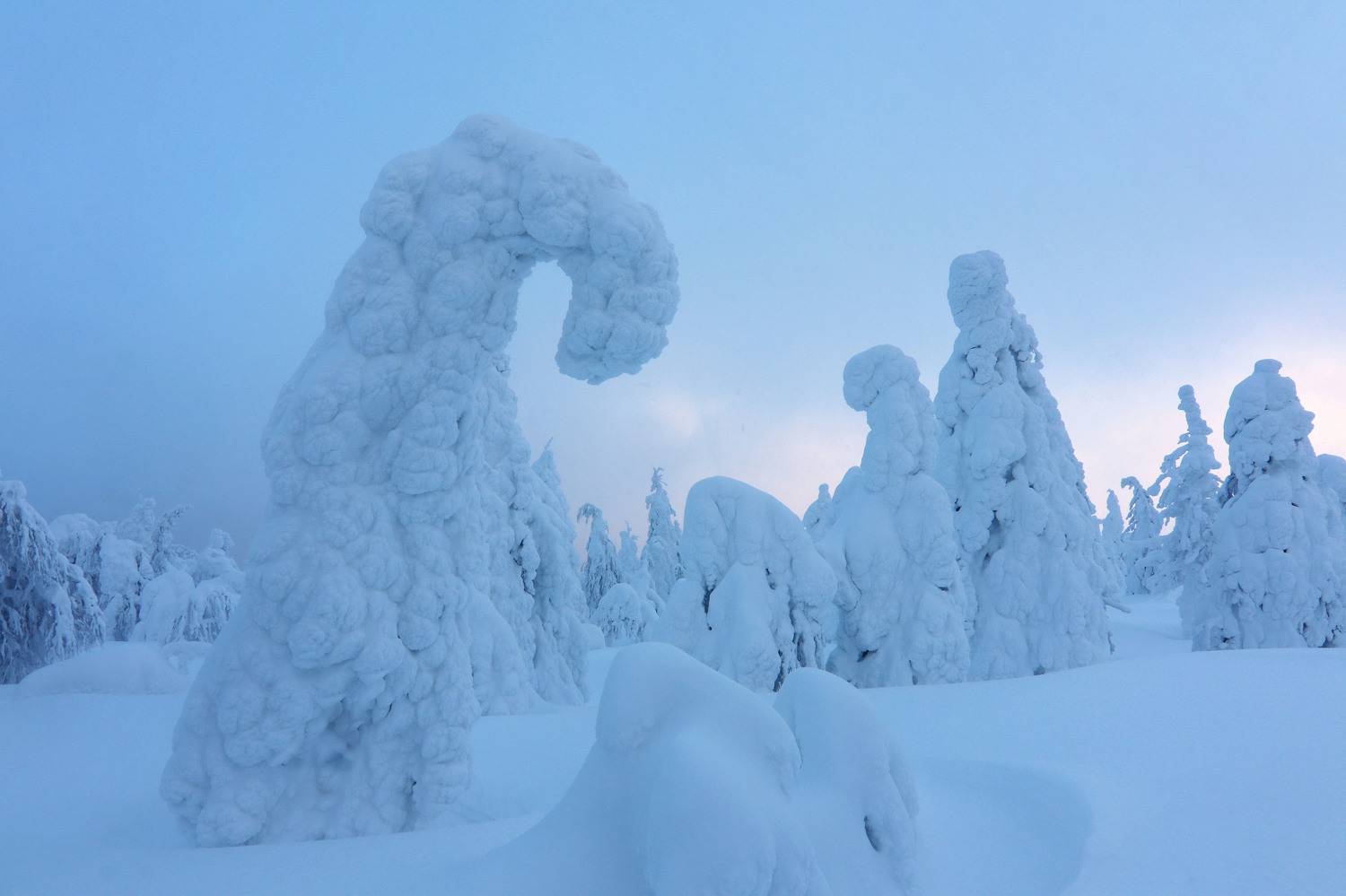 пермский край, Добролюбова Тамара