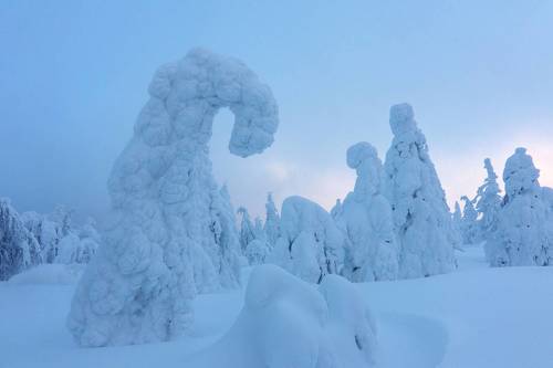 Гора Колчимский