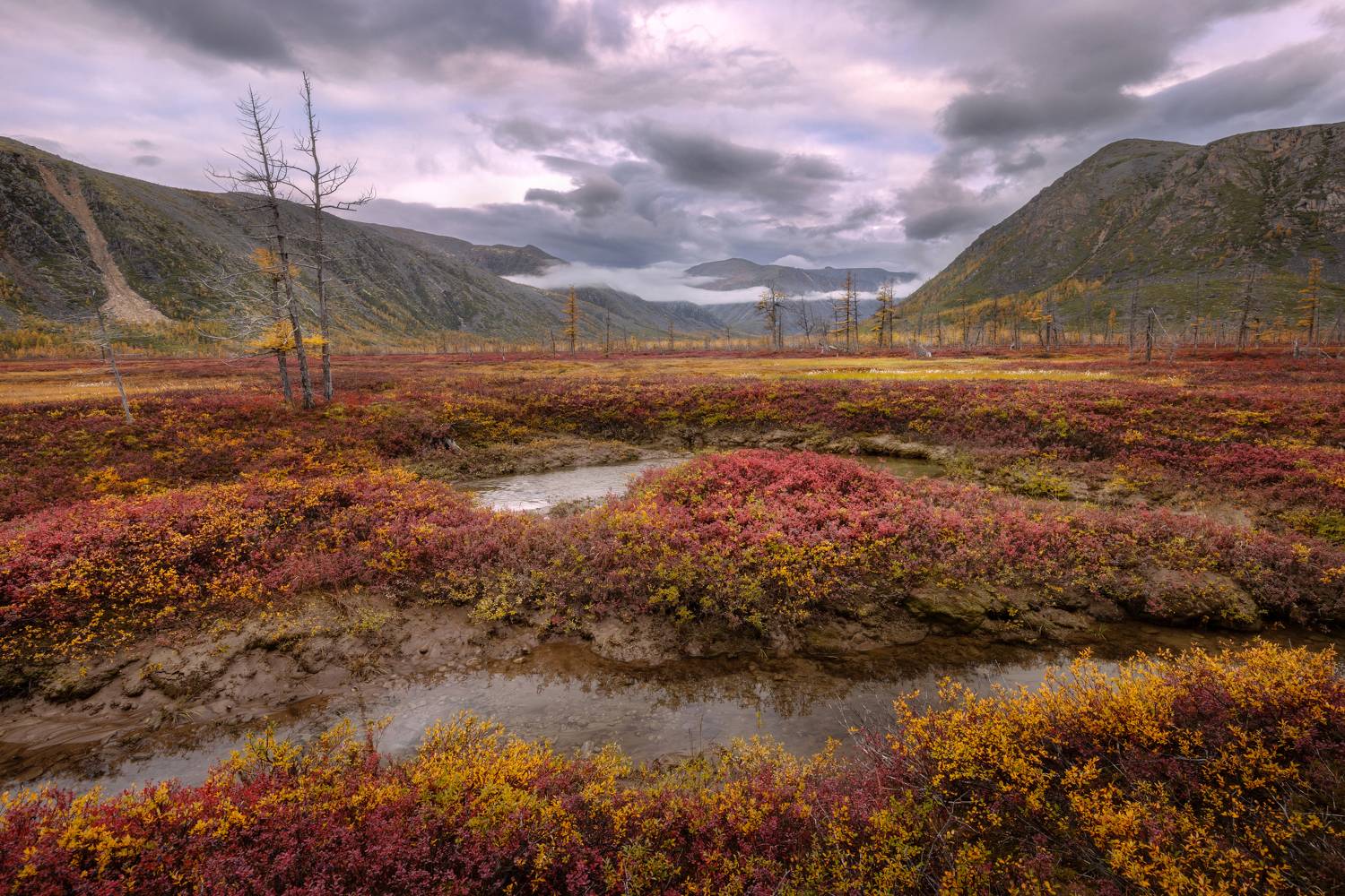 , Павел Глушков