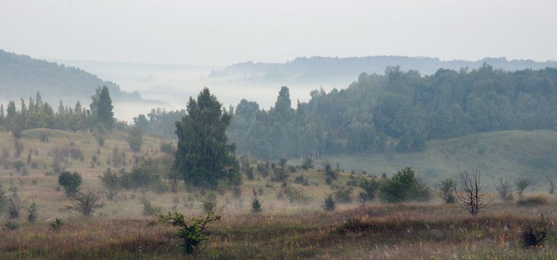 тула, красногорье, ведьмино, красивая меча Туманная долина Красногорья фото превью