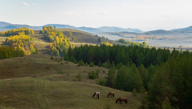 Башкирские фото превью