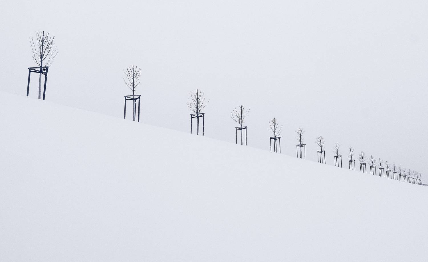 , Сергей Григорьев