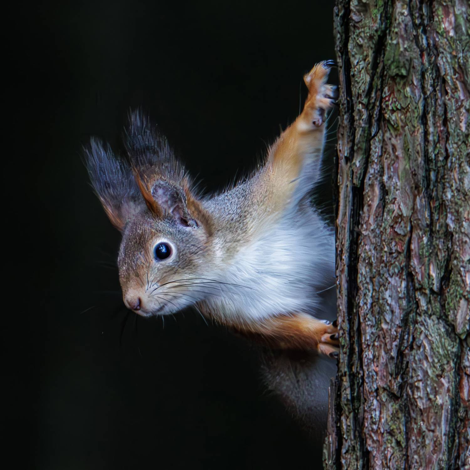 , Морозов Сергей