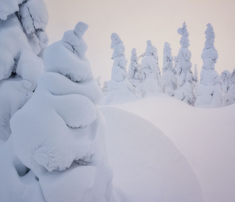 гух, главный уральский хребет, урал, северный урал, природа, пейзаж, закат, зима, сергейалтушкин Главный Уральский Хребет фото превью