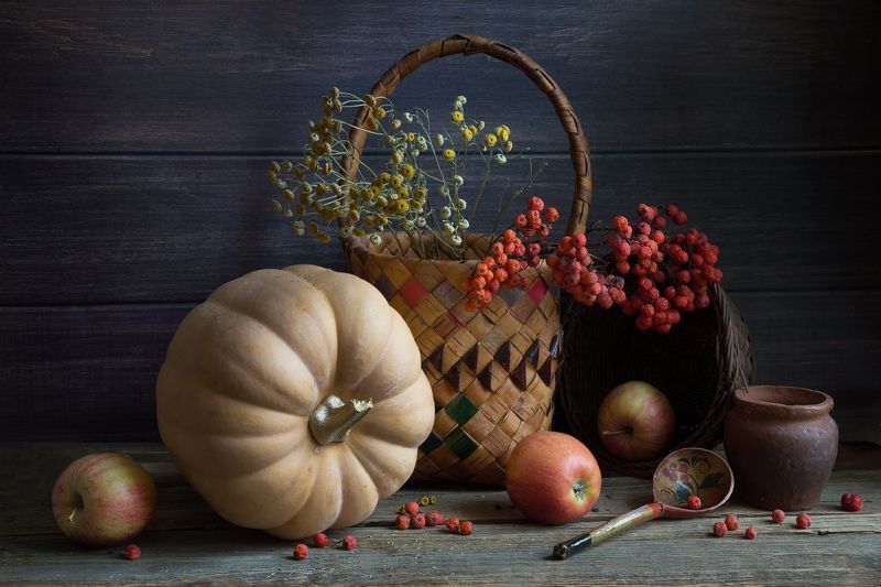 Тыковка фото превью