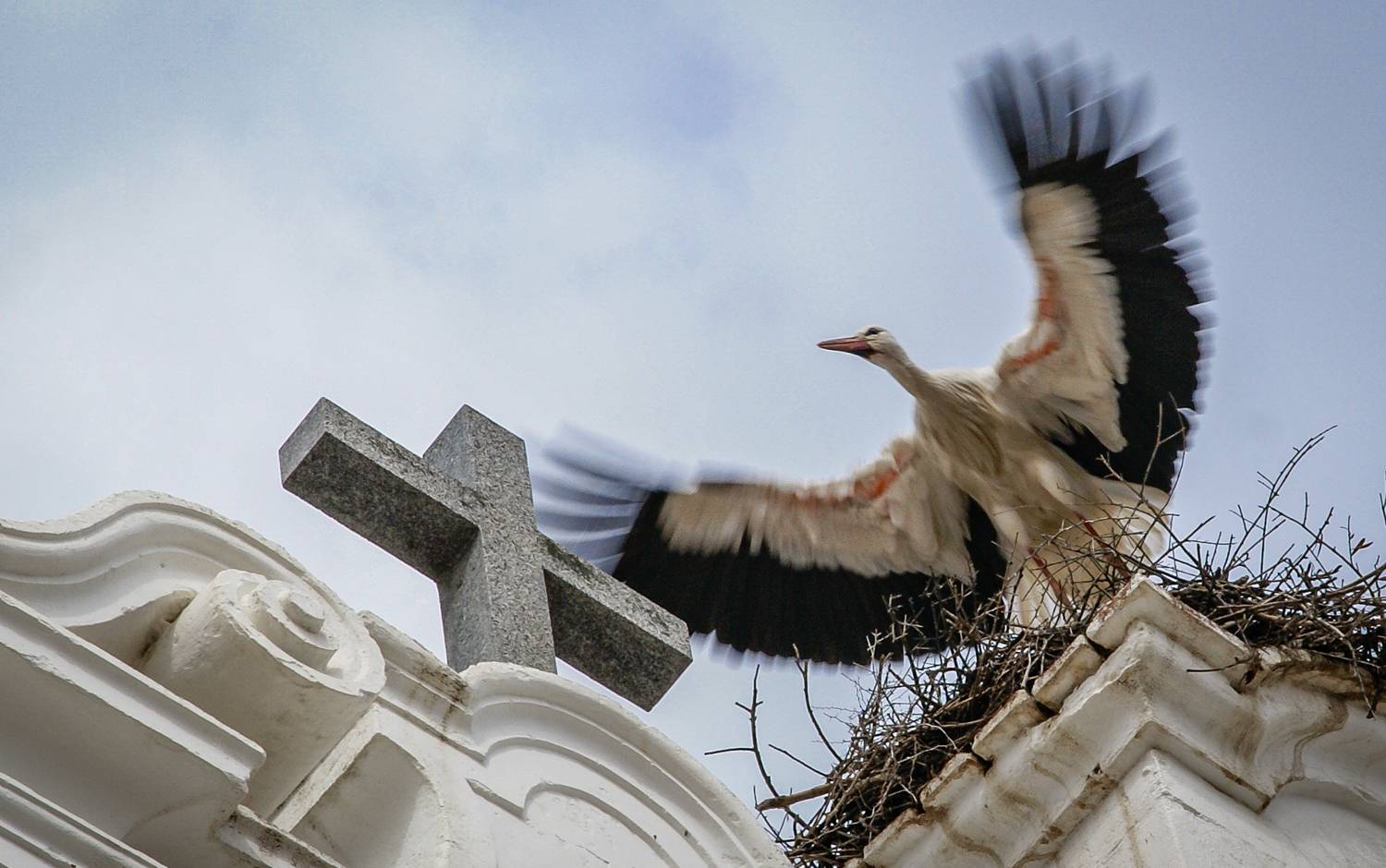 , Максимова Дария