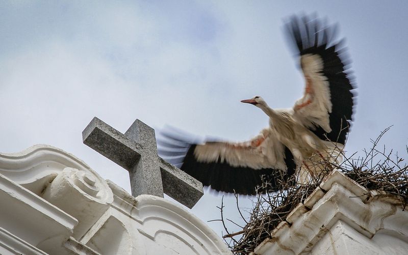 Прощай Европа! фото превью