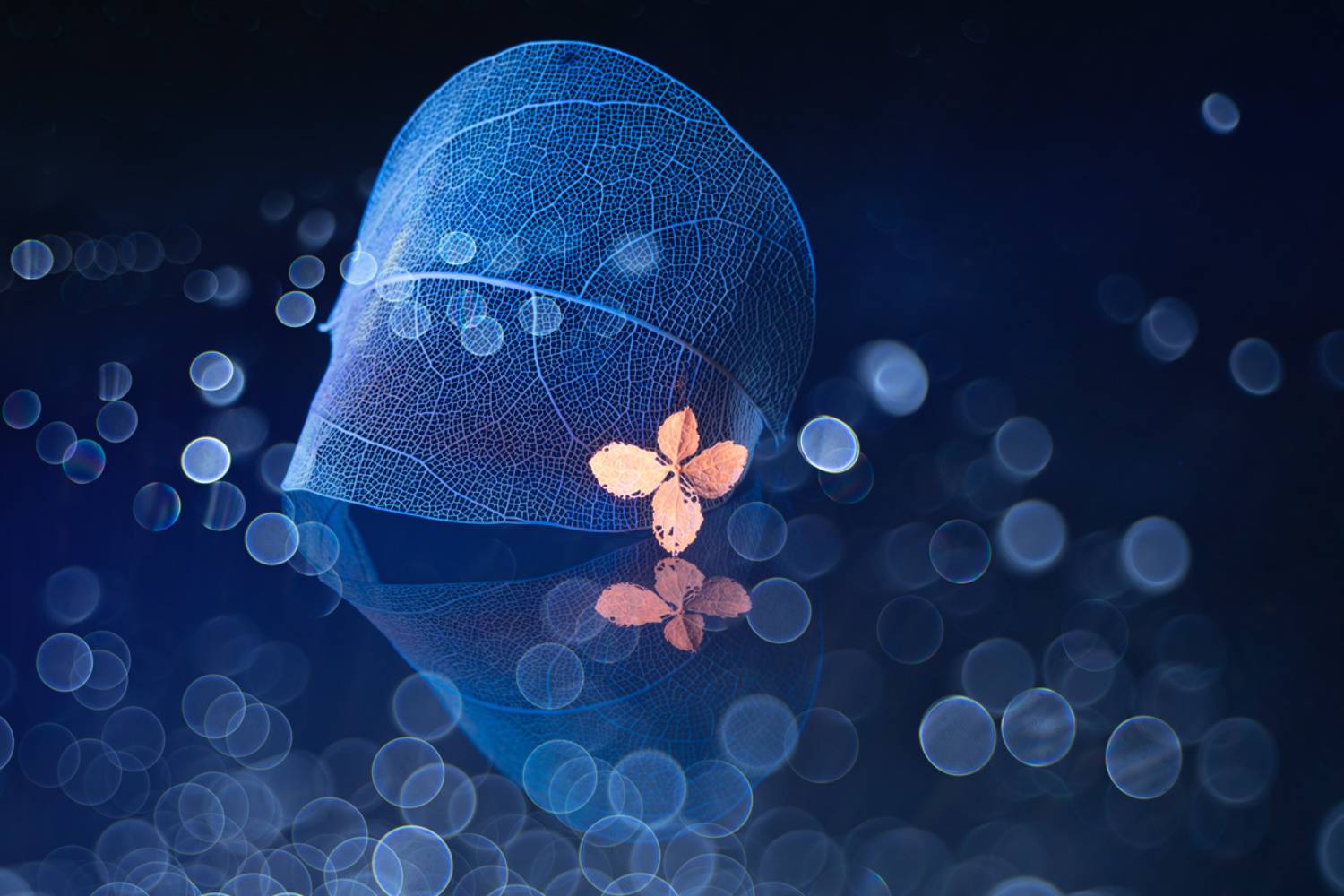 close-up, Копцев Игорь