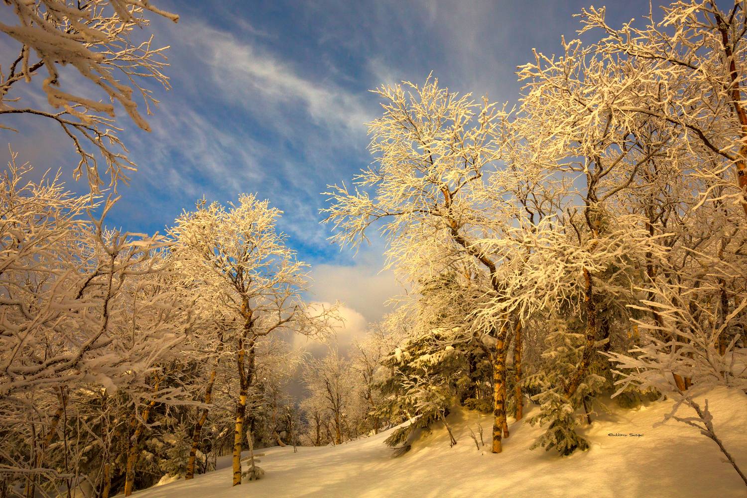 , Евдокимов Сергей