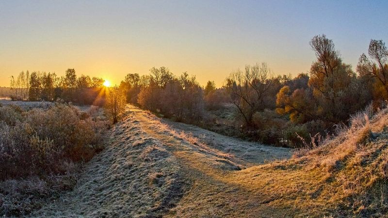 природа, лето, солнце, восход, рассвет, река, подмосковье Солнечная дорожка фото превью