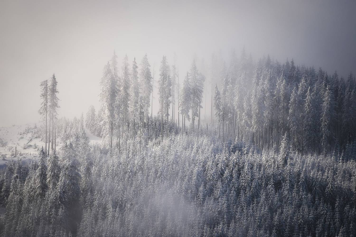 , Stefan Chirobocea