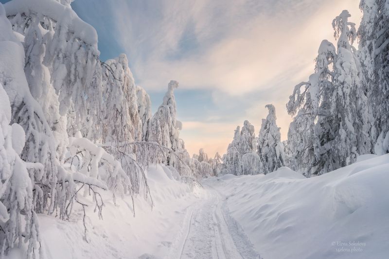 Снежная тропинка в Каменный город фото превью
