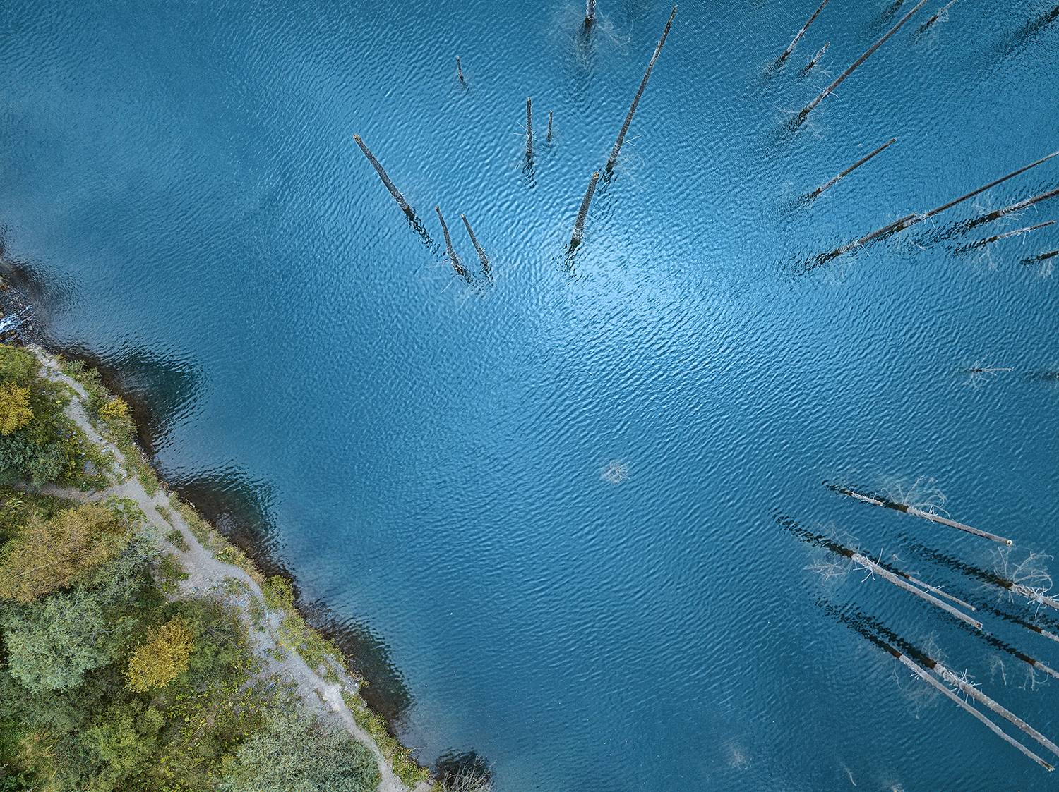 Каинды, затонувший лес, озеро, Yelena Shander