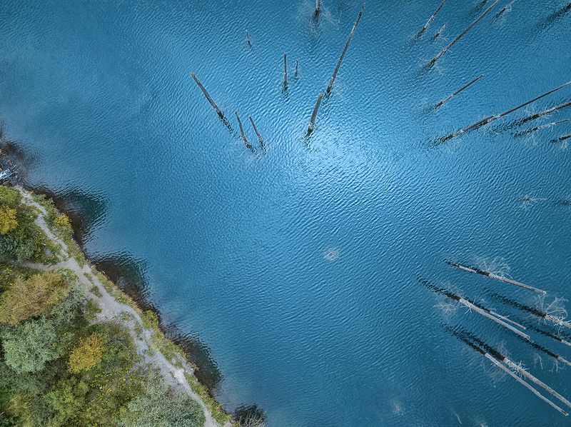 Каинды, затонувший лес, озеро Затонувший лес в глубине бирюзовых вод фото превью