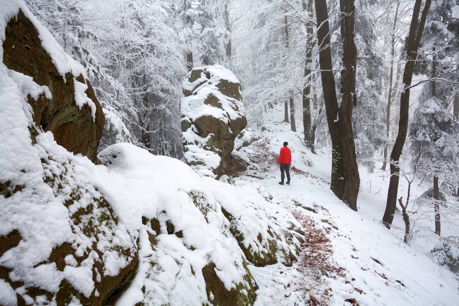 ,  Mirosław Pruchnicki