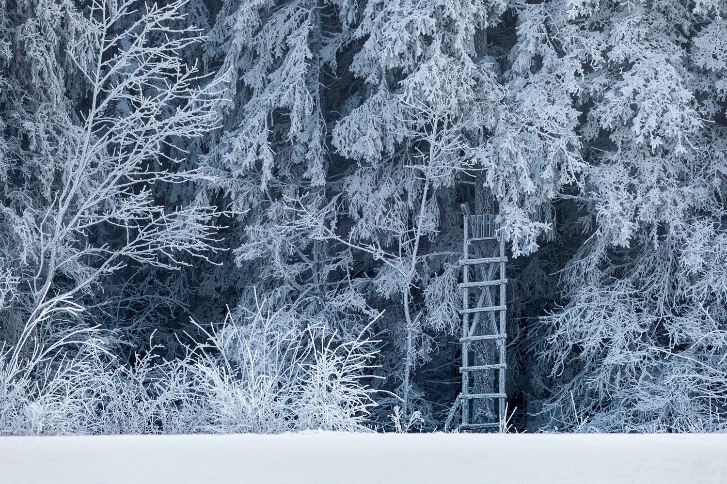,  Mirosław Pruchnicki