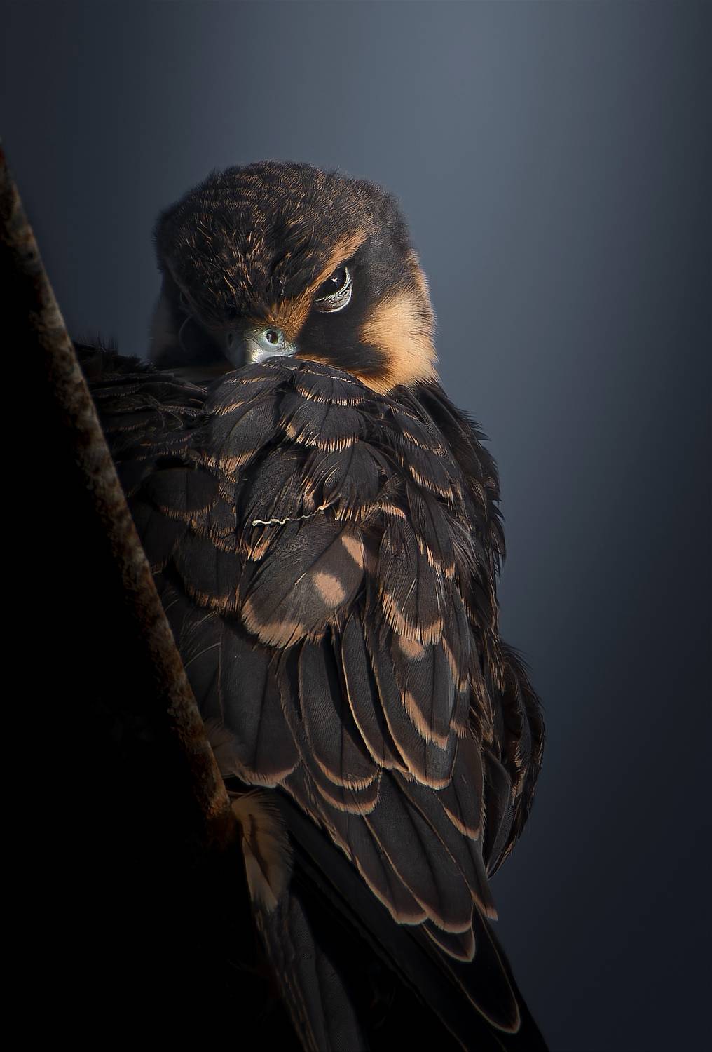 , Фото Александр