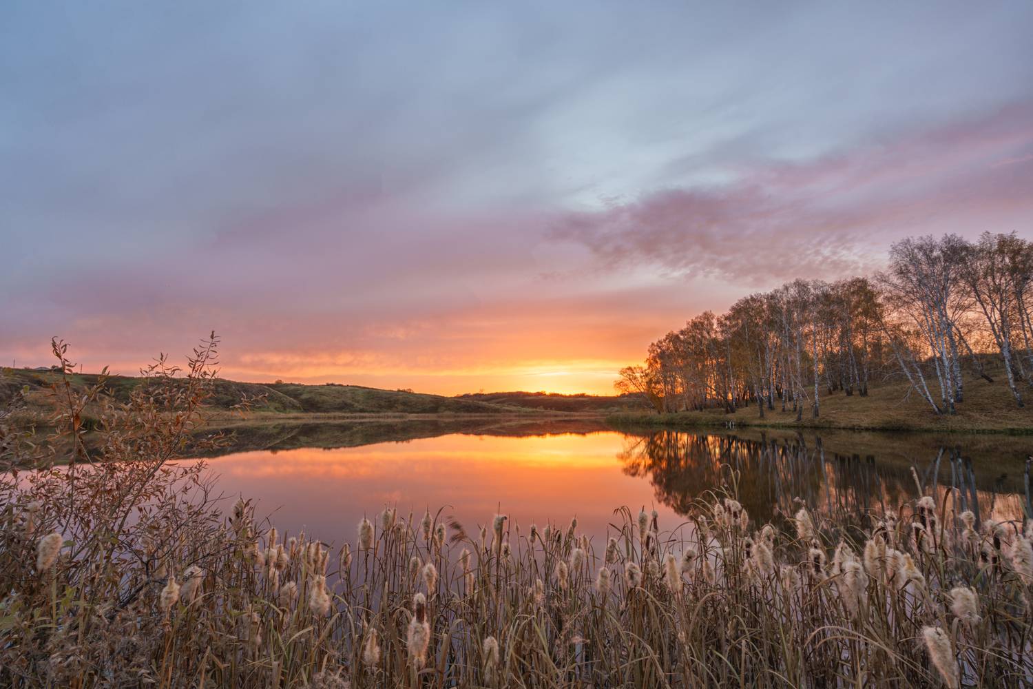 , Лариса Дука