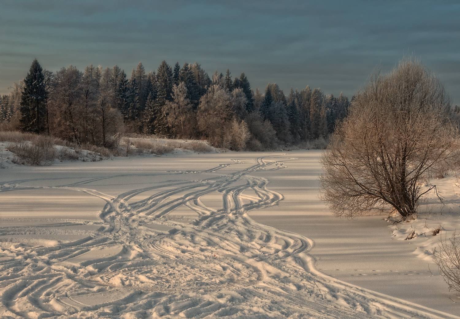 , Олег Тыркин