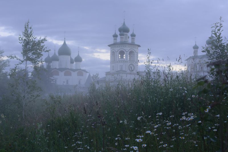 С ромашками фото превью