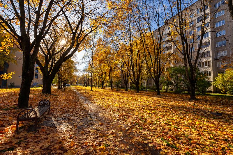минск осень октябрь дворы город Наше золото золотее вашего фото превью