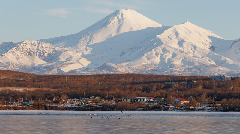 утро, озеро, камчатка, авачинский вулкан, гуси, птицы Авачинский вулкан фото превью