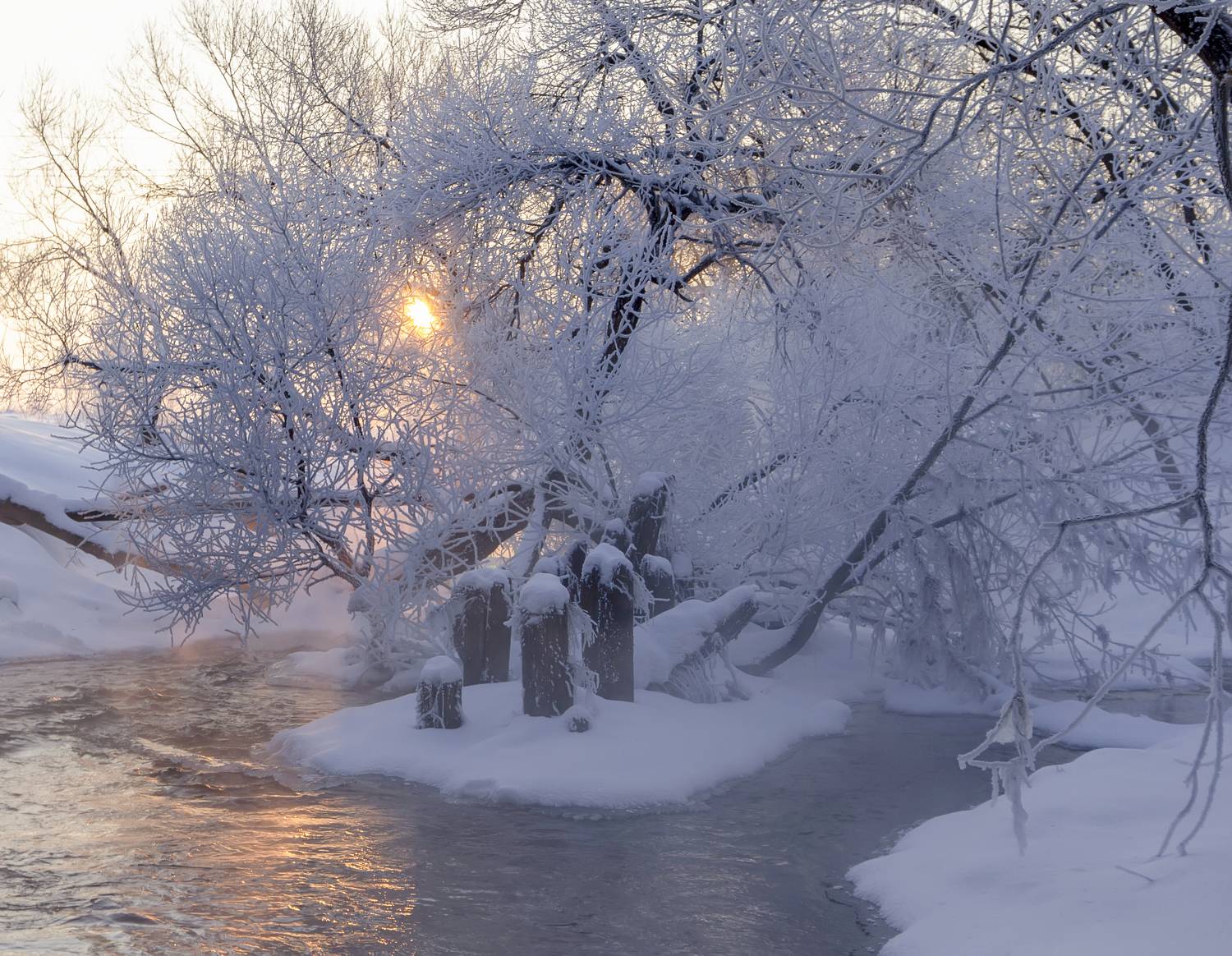 утро, зима, мороз, рассвет, Татьяна Феденкова