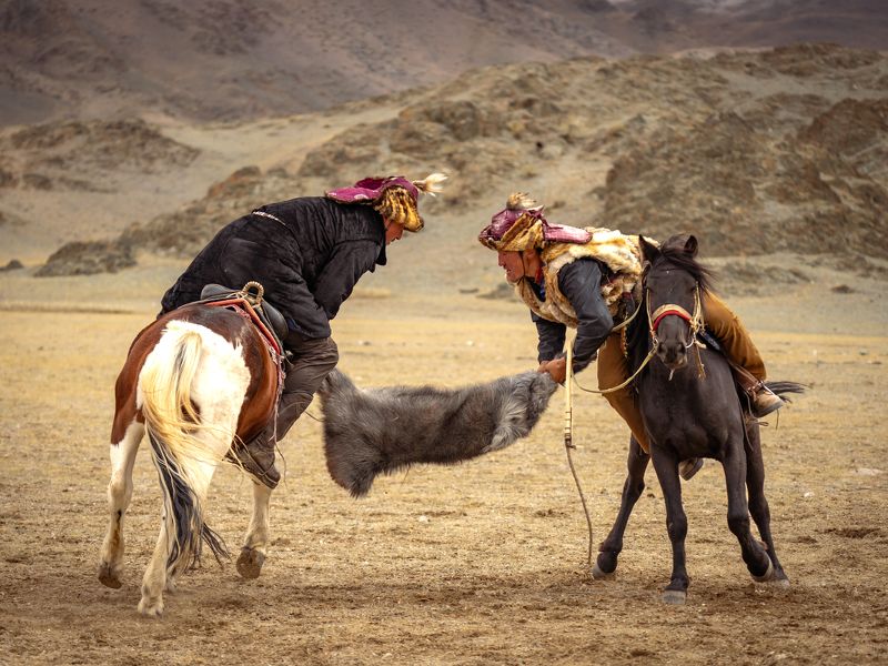 кокпар, кок-бору, золотой орёл, монголия Кокпар (Кокбар) или в просторечии - \