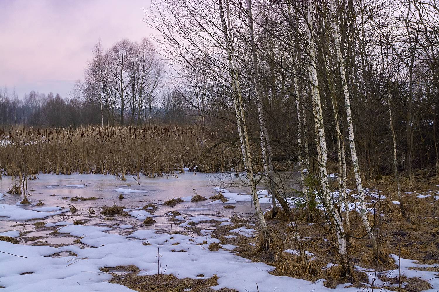 , Дмитрий Асеев